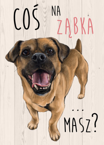 Tabliczka #14 Coś na ząbka