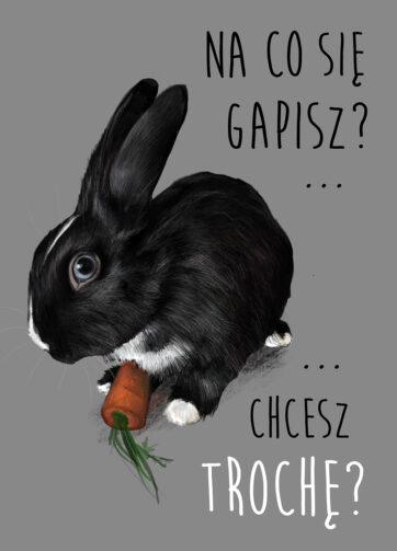 Tabliczka #15 Na co się gapisz?