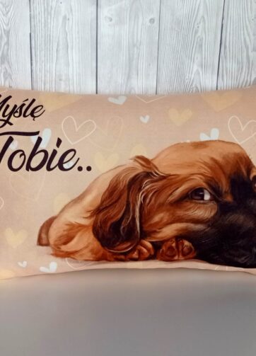 Poduszka walentynkowa #6