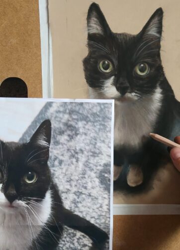 Portret kolorowy - pastele suche