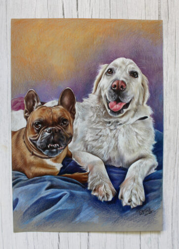 Portret kolorowy - kredki