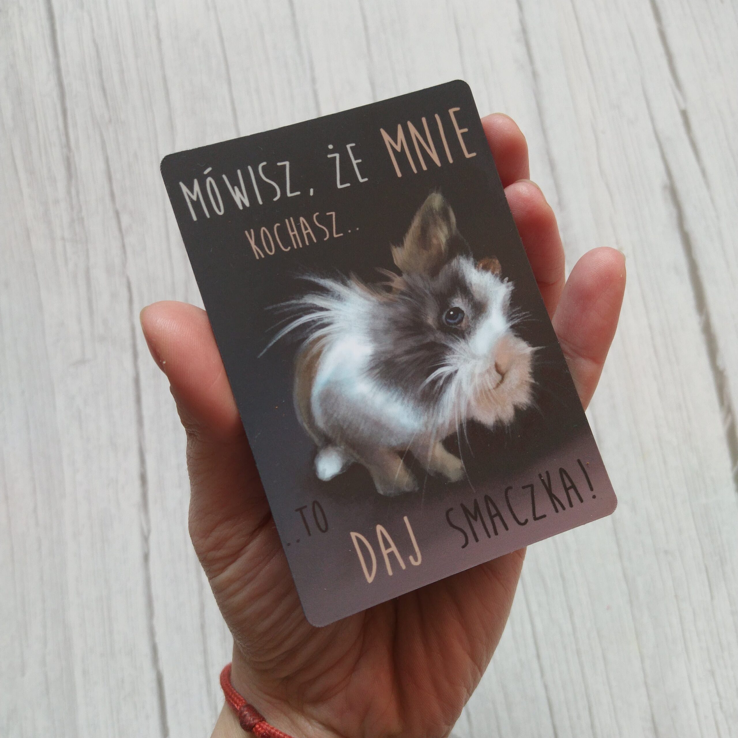 Magnes #Daj smaczka - obrazek 2