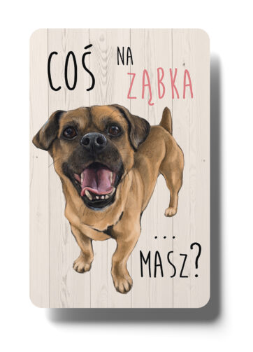 Magnes #Coś na ząbka