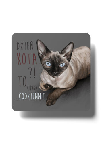 Magnes #Dzień kota