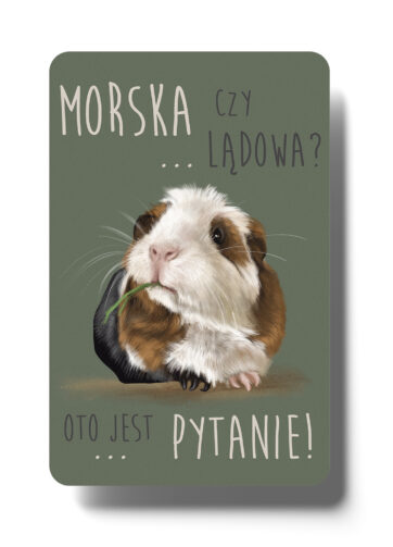 Magnes #Oto jest pytanie