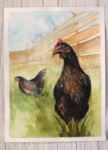 Akwarela przedstawiająca kury