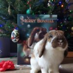 Królik pozujący do zdjęcia ze swoim portretem świątecznym