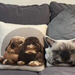 Poduszki dekoracyjne z kotami i królikami na kanapie