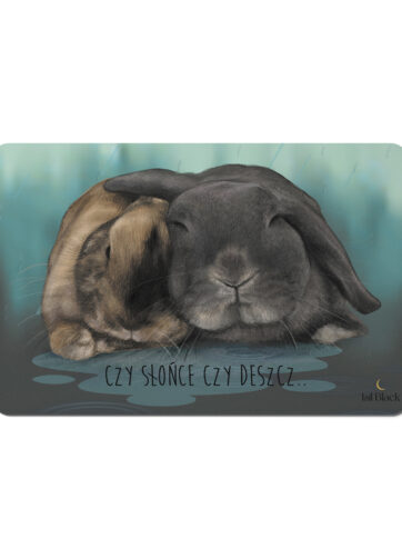 Magnes dekoracyjny z dwoma przytulonymi królikami w deszczu