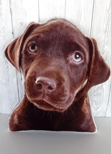 Poduszka - Czekoladowy Labrador