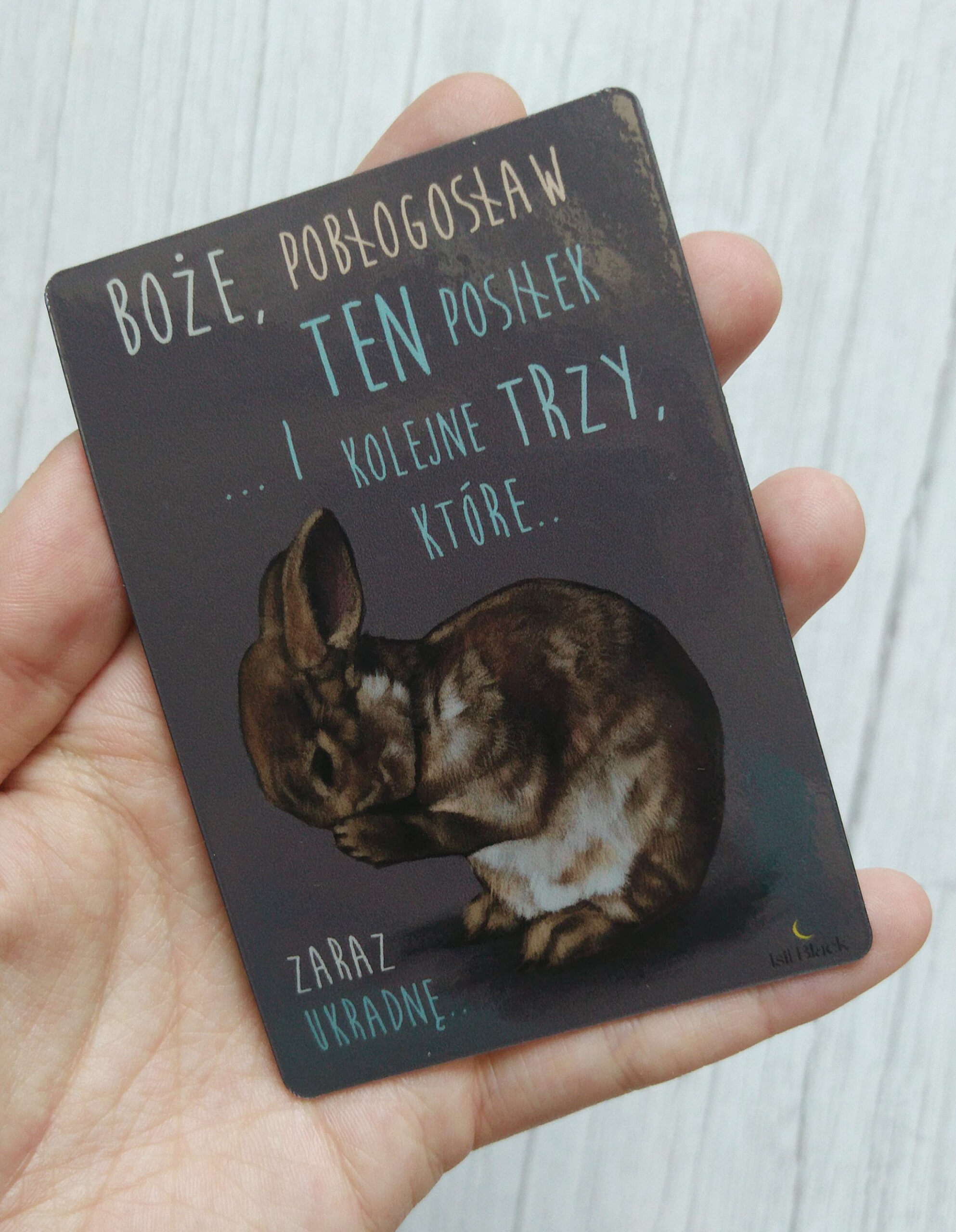 Magnes #Boże, pobłogosław - obrazek 2